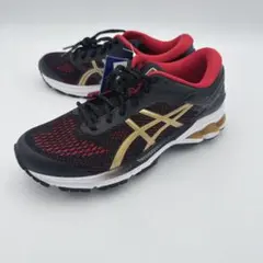 2026年最新】アシックス asics ランニングシューズ ゲルカヤノ 26 gel