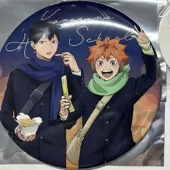 ハイキュー コスモワールド 日向翔陽 影山飛雄 烏野 缶バッジ