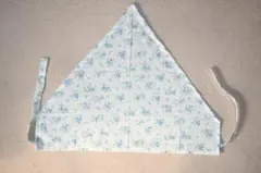 Item thumbnail for item 7084946d-97ea-477d-ad4d-90599563a07a