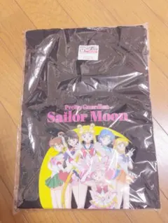 Item thumbnail for item 3c23bc65-73a5-46fc-9883-9d10703df365