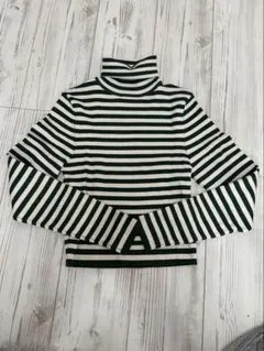 ZARA 緑と白のストライプ タートルネック