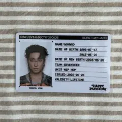 SEVENTEEN Happy Burstday IDカード ウォヌ