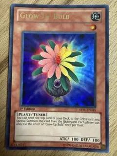 2026年最新】グローアップ・バルブ 英語の人気アイテム - メルカリ