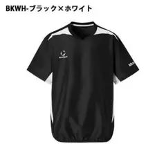 Item thumbnail for item cd56e2e5-bbb4-4197-a4b5-b56abce9066a