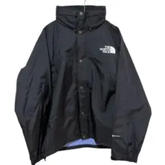 N-870 THE NORTH FACE NP12135 ゴアテックス　L 美品