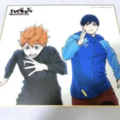 劇場版 ハイキュー ゴミ捨て場の決戦 IGストア限定有償特典 色紙 日向 影山