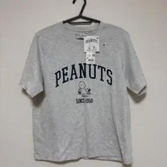 新品タグ付、ユニクロ、グレー、スヌーピー、デザインＴシャツ
