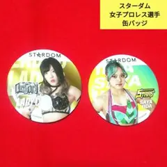 スターダム プロレス 選手 トレーディング 缶バッジ LADY・C ＆飯田沙耶