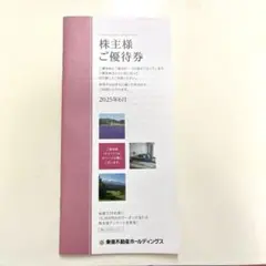 東急不動産ホールディングス　株主優待券　（500株〜1000株未満）