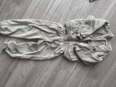 petit mainセットアップ