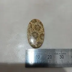 ボニータ様 リクエスト 2点 まとめ商品