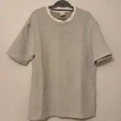 ZARA Tシャツ