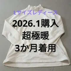 超極暖 ヒートテック ハイネック タートルネック ホワイトXL 3か月着用