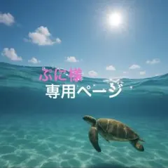 ぷに様 リクエスト 2点 まとめ商品