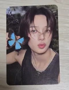 &TEAM Back to Life トレカ K ROAR ver.