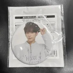 &team cafe HARUA 缶バッジ B