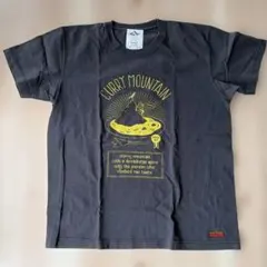 devadurga CURRY MOUNTAIN Tシャツ Lのサムネイル