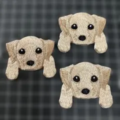 刺繍ワッペン アイロンワッペン 3個セット 犬 わんこ ゴールデン