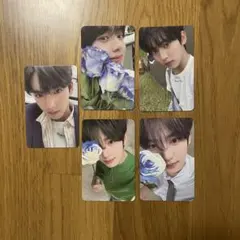 zb1 ユジン 本国 FC 1期 2期 3期 セット