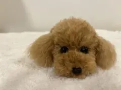 トイプードル編みぐるみ（植毛）犬　 【伏せポーズ】レッドのサムネイル