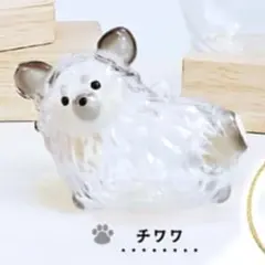 うちの子のけだまだま 犬のけだまだま ガチャ チワワ