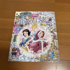 Disney Winter Dreams