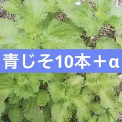 貯金箱　ポスト　オブジェのサムネイル