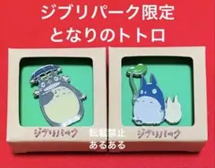 【新品】ジブリパーク限定品　ジブリの大倉庫 となりのトトロ　ピンバッジ2点セット