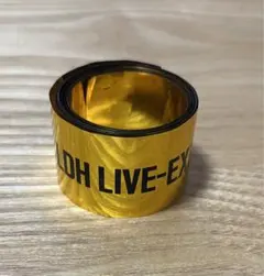 LDH LIVE EXPO 2024 EXILE TRIBE 金テ