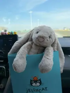 jellycat M ぬいぐるみ ホワイト Bashful Bunny - メルカリ