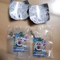 アイカツ　だれでもアイドル活動アクリルチャーム　スノープリンセス　スミレ　ガチャ