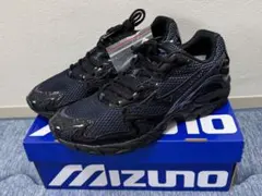 MIZUNO WAVE RIDER 10 END．のサムネイル