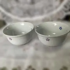 Item thumbnail for item d442c952-ca80-4e01-ba94-1d17e1db4684