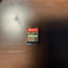 ゼルダの伝説 ティアーズオブザキングダム