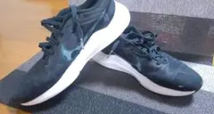NIKE スニーカー DD9293-010 26cm