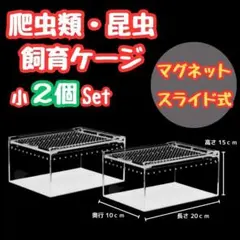 【新品未使用］レプタイルボックス 5個セット 三晃商会 レプタイルボックス 181271 1個（直送品） - アスクル