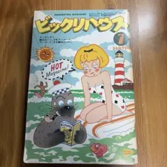 ビックリハウス 7月号 パルコ出版