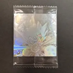 ドラゴンボールウエハース超6-30MFGR