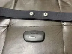 未使用 Garmin HRM2-SS ハートレートセンサー 心拍計