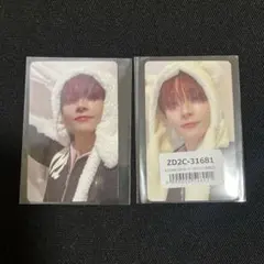 &TEAM ニコラス トレカ スプサ アニマル