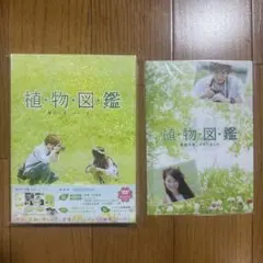 植物図鑑 運命の恋,ひろいました 豪華版('16松竹/ホリプロ/LDH/幻冬舎