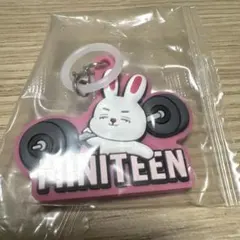 SEVENTEEN miniteen カプセルトイ ガチャ めじるし エスクプス - メルカリ