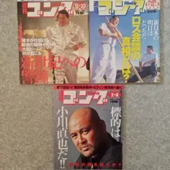 週間ゴング15冊＋週間プロレス1冊　計16冊セット 2025年最新】Yahoo!オークション -週刊ゴングの中古品・新品・未