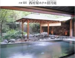 ペア日帰り温泉 個室☆ランチお食事券 宙 SORA 渡月荘金龍 平休日