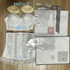 ブライダルインナー セモア C70 ディズニー FTW ftw タカミブライダル