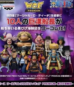 ワンピース フィギュア ワールドコレクタブル REMIUM 黒ひげ海賊団