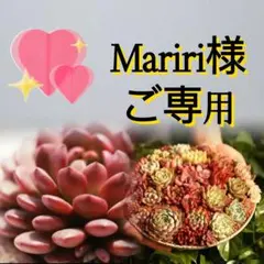 Mariri様　ご専用