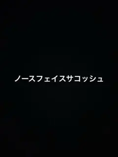 ノースフェイスサコッシュ