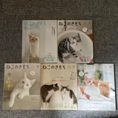 Item thumbnail for item b96b076d-10c5-458f-a676-e77265e30adb