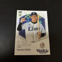 けなてみ様 リクエスト 2点 まとめ商品